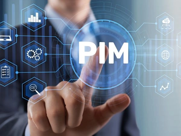 Governance del PIM (Product Information Management) con conformità dei dati di prodotto e interfaccia di analisi del catalogo digitale per il controllo aziendale.